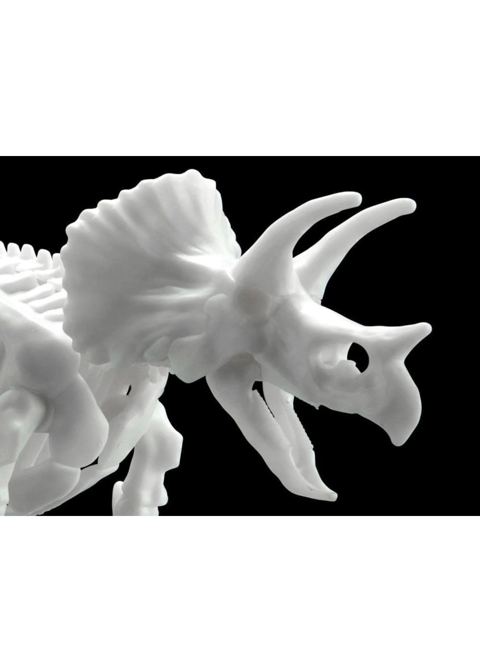 Bandai Triceratops Dinosaur Model Kit Limex Skeleton 4 Bandai Triceratops Dinosaur Model Kit Limex Skeleton - Image 2