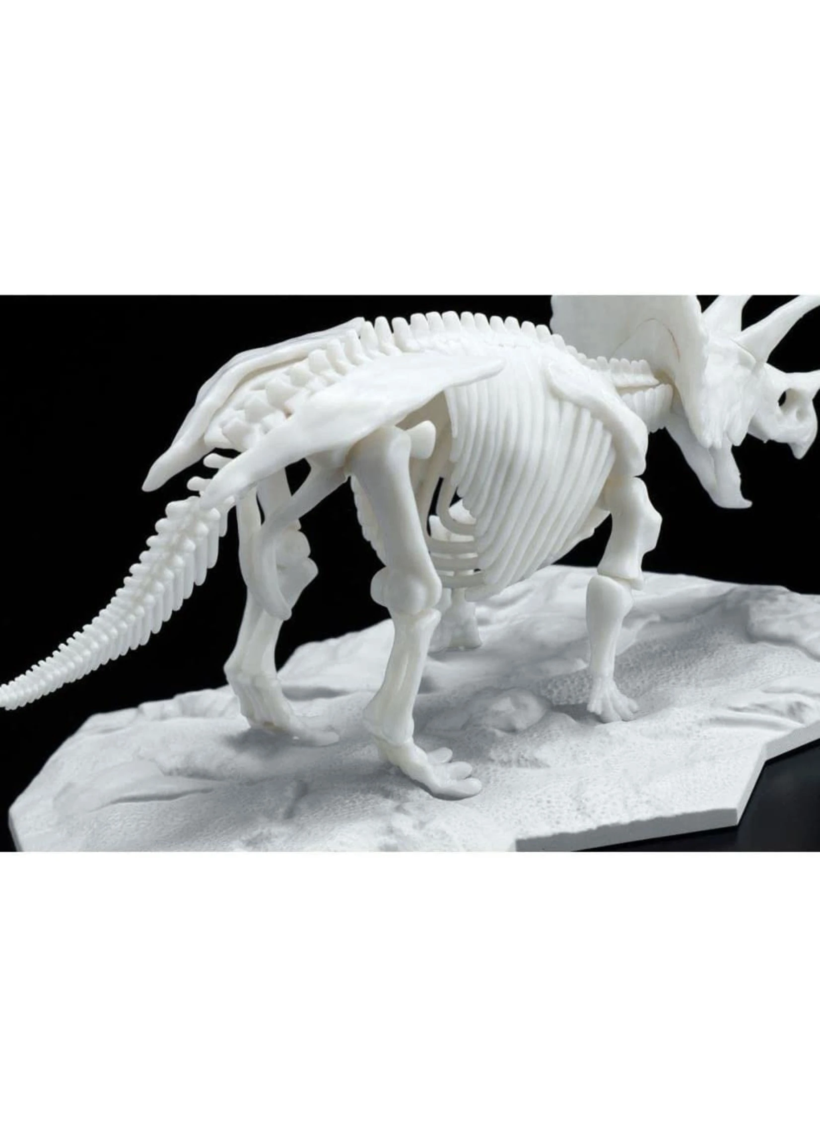 Bandai Triceratops Dinosaur Model Kit Limex Skeleton 6 Bandai Triceratops Dinosaur Model Kit Limex Skeleton - Image 4