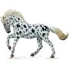 Breyer Black Leopard Knabstrupper Mare 2 Breyer Black Leopard Knabstrupper Mare -Fascinations Metal Earth-shop breyer black leopard knabstrupper mare