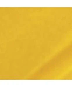 Mission Models C-003 - Gold 1oz