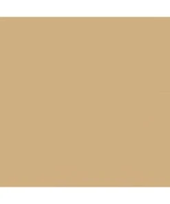 Mission Models P-010 - Gelbbraun RAL 8020 1oz