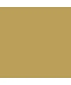 Mission Models P-011 - Dunkelgelb RAL 7028 1oz