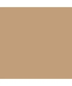 Mission Models P-038 - US Desert Tan Modern FS 33446 1oz