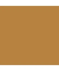 Mission Models P-119 - Sandgelb RLM 79 1oz