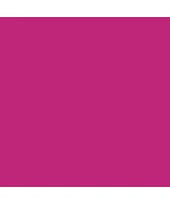 Mission Models RC-044 - RC Fluorescent Racing Berry 2oz